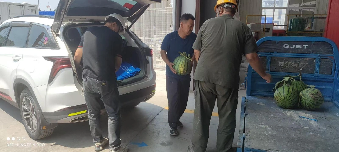 Siunčiant vėsumą per vasarą, vienijant pastangas kovoti